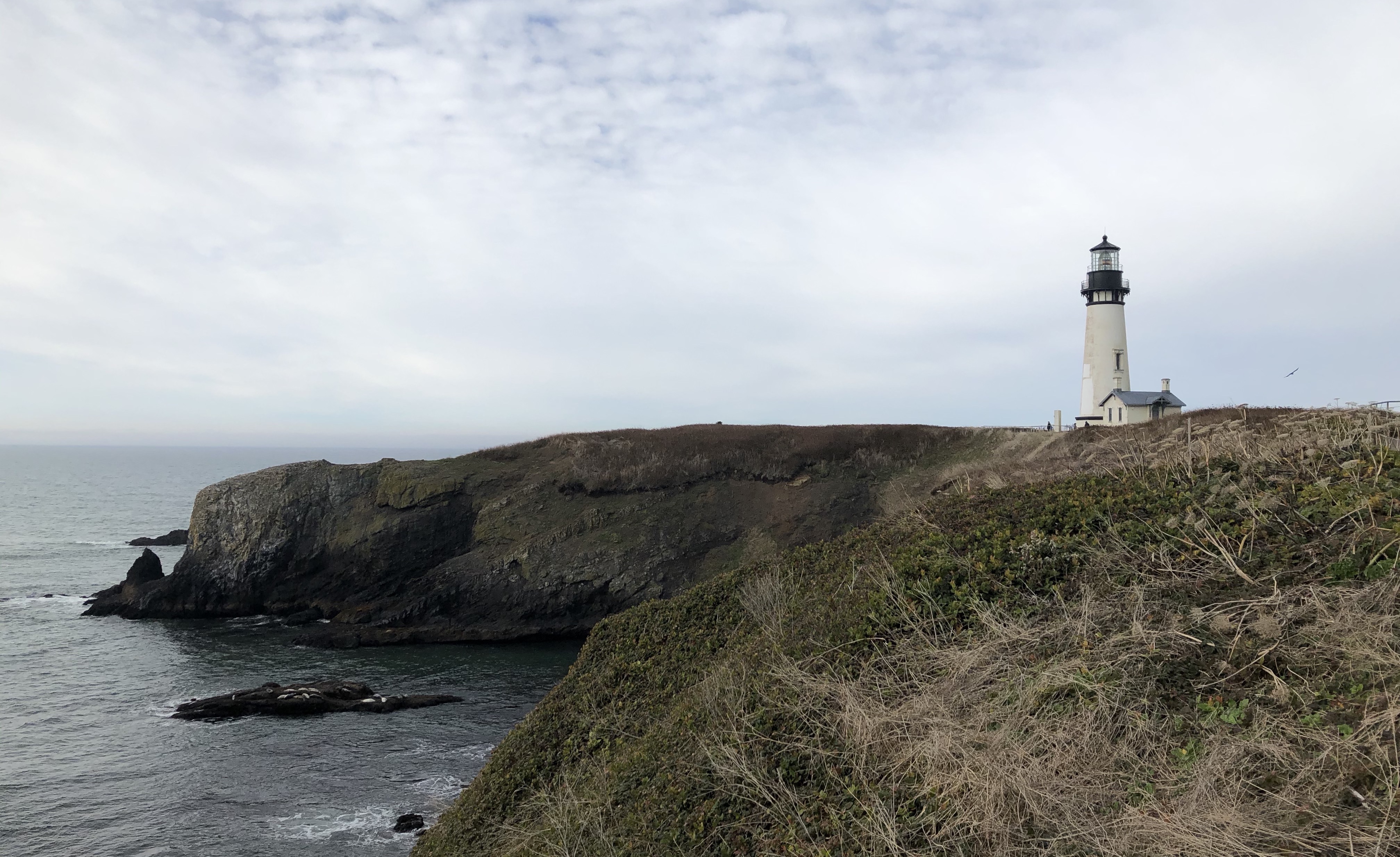 A lone white lighthouse on the rocky Oregon coast with overcast weather and dull green banks.