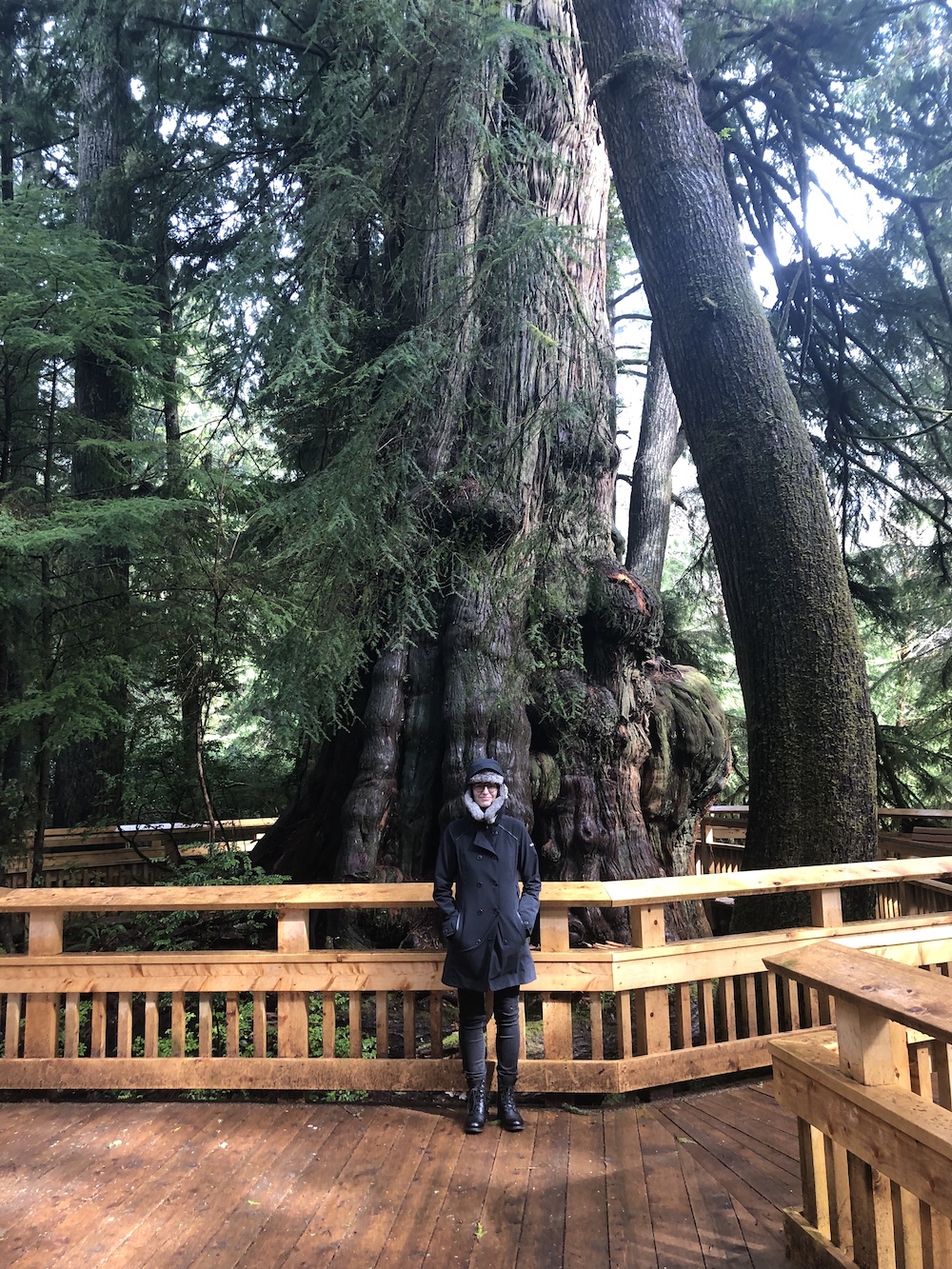 Myself standing in front of a large Sequoia.